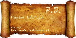 Pauler Dávid névjegykártya